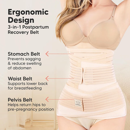 Postpartum Recovery Support Belt